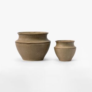 Liora Pot-1
