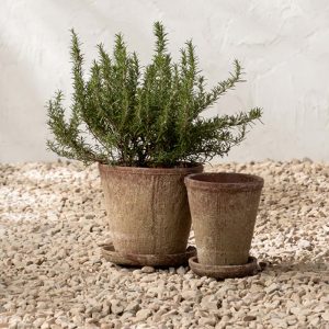 Oksana Distressed Cement Planter1